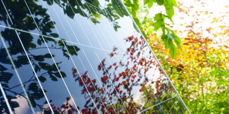 Agri PV: Die Verbindung von Landwirtschaft und erneuerbarer Energie