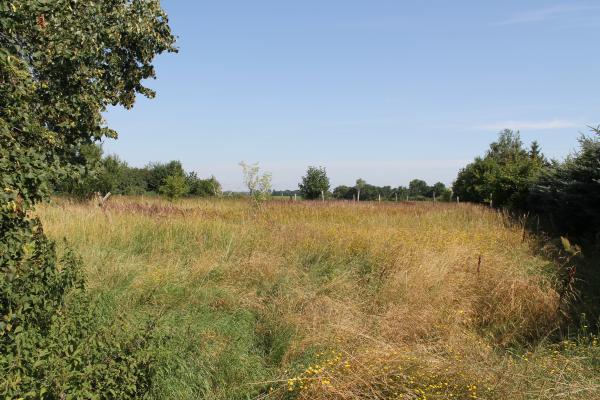 sonniges Baugrundstück