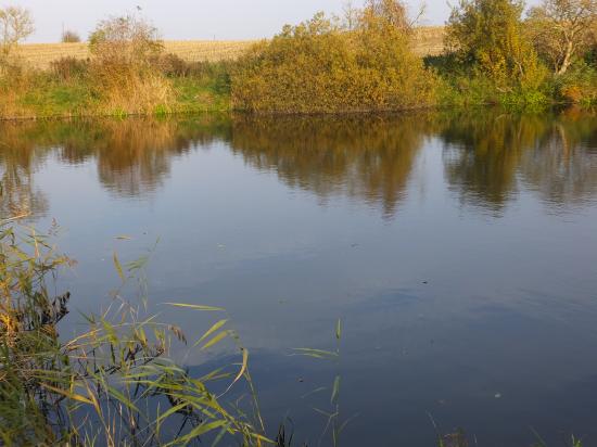 Baugrundstück in idyllischer Lage