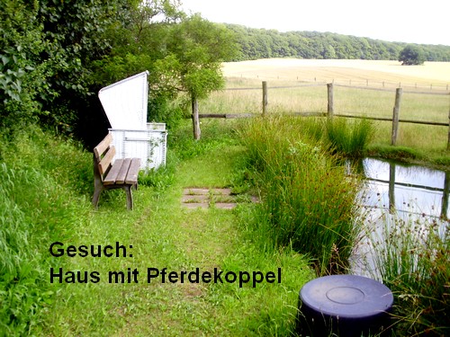 Haus mit Pferdekoppel gesucht