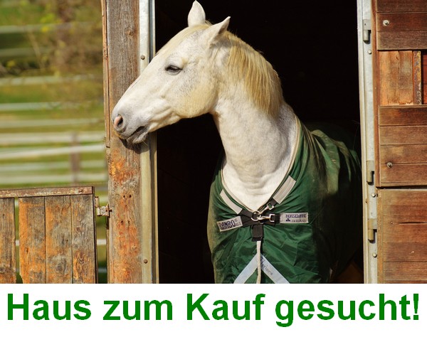 Haus zum Kauf gesucht