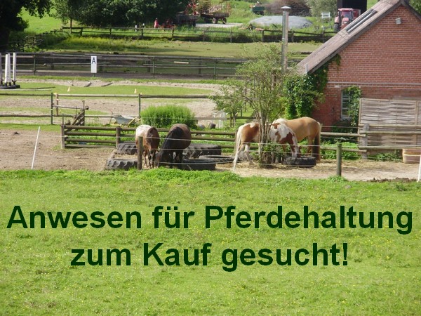 Gesuch +++ Anwesen für Pferdehaltung süd-westlich von Berlin zum Kauf 