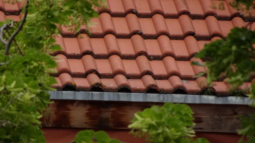 Hochgeladene Bilddatei