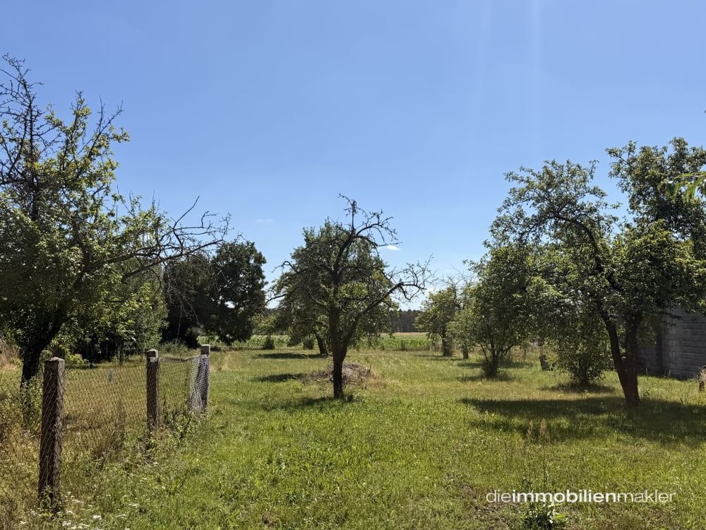 Obstbäume