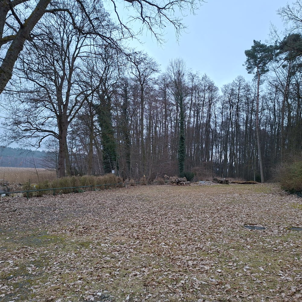 Oberbarnim 20260320_180648
