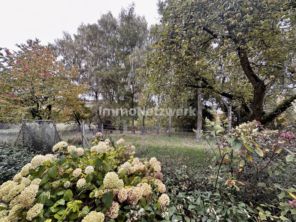 Blick in den Garten