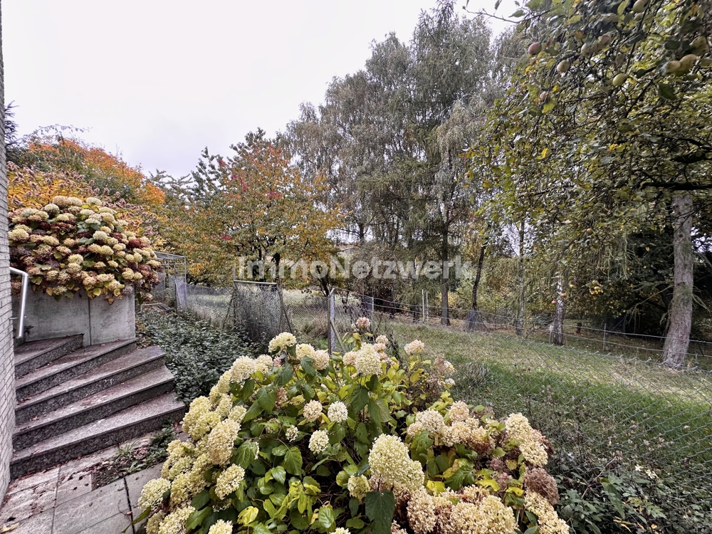 Blick in den Garten