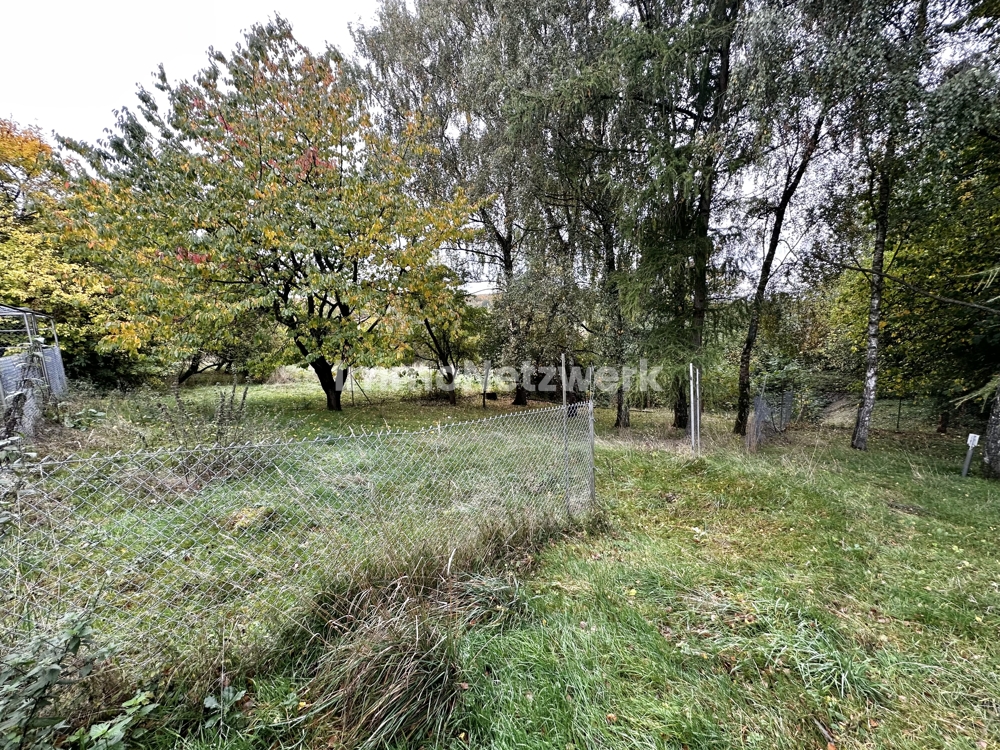 Blick in den Garten