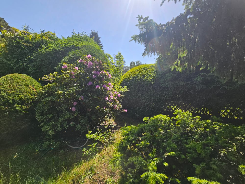 Gartenbereich