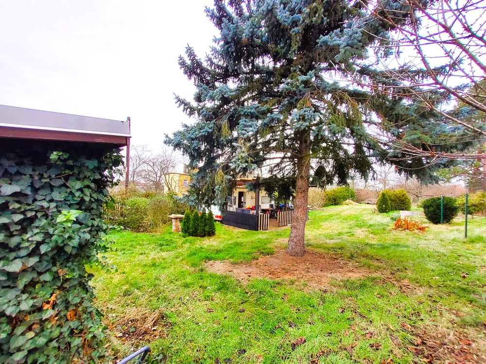 7.Gartenansicht 1