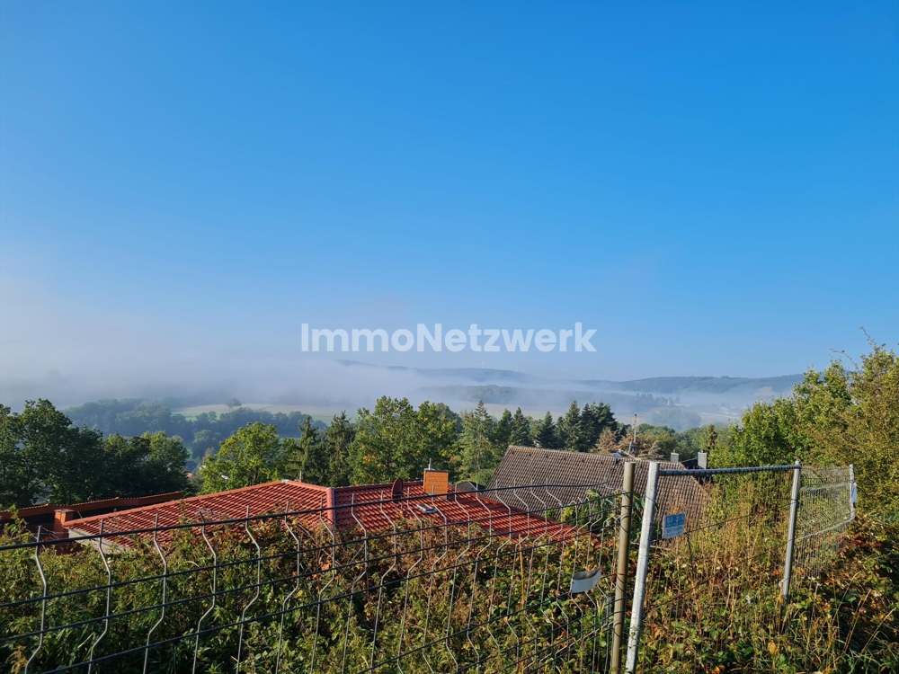 Ausblick