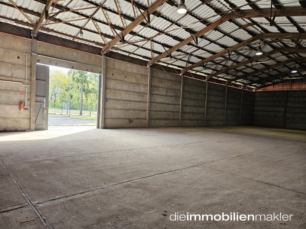 IMG-20260507-WA0008