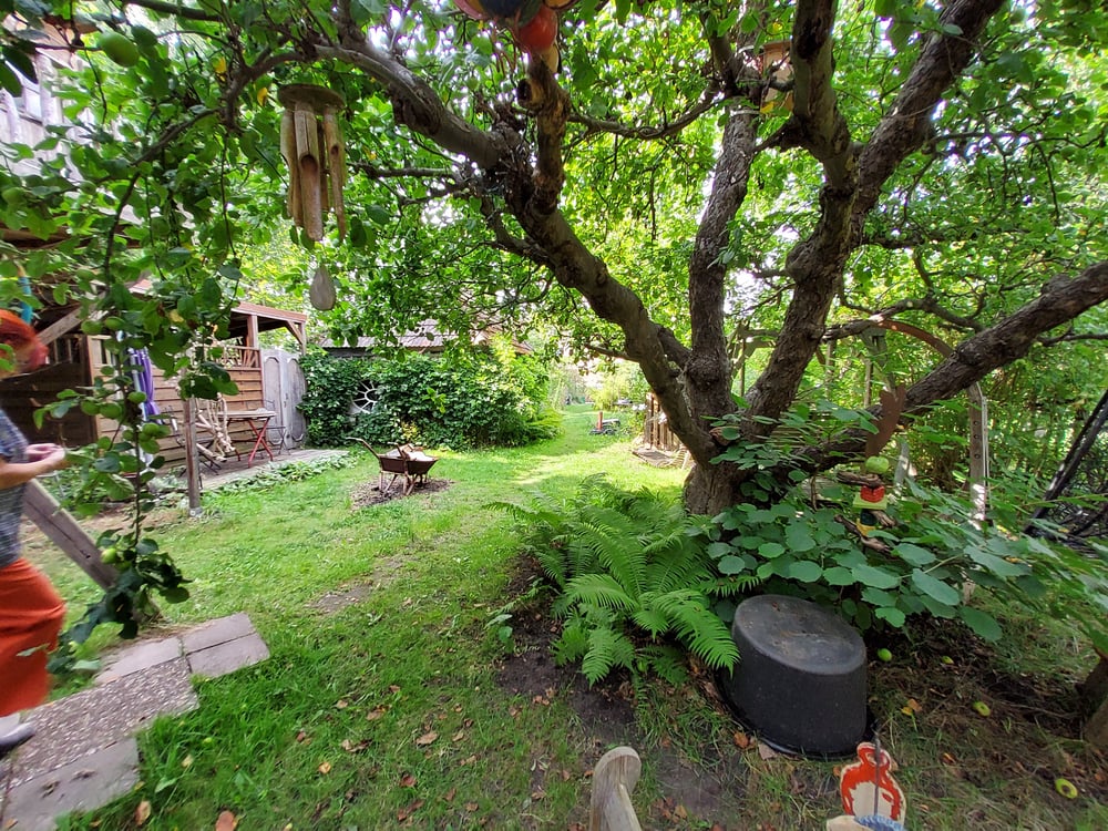 Blick in den Garten