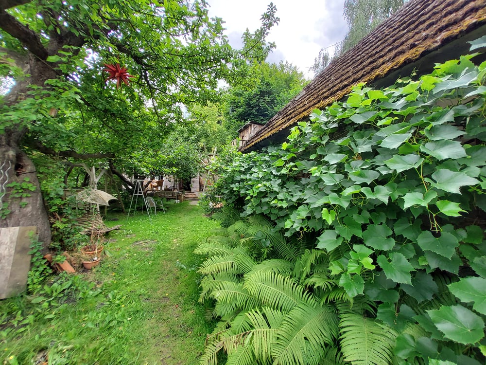 Gartenansicht