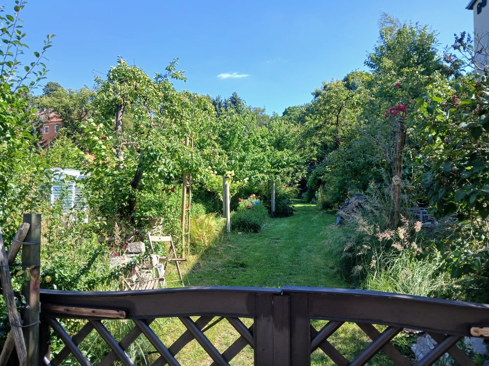 Gartenansicht von der Straße 