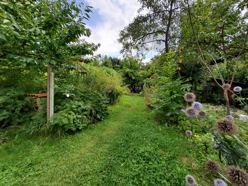 Zuwegung zum Gartenhaus