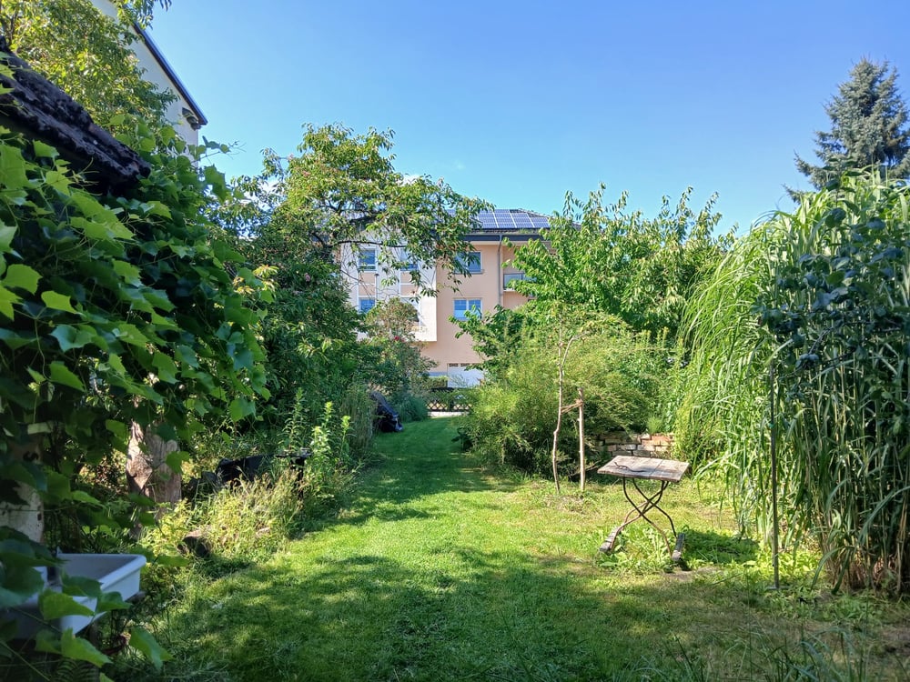 Gartenansicht zur Straßenfront