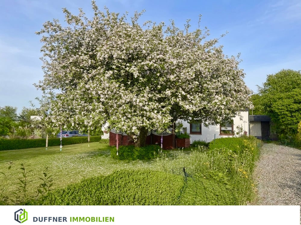 Garten2