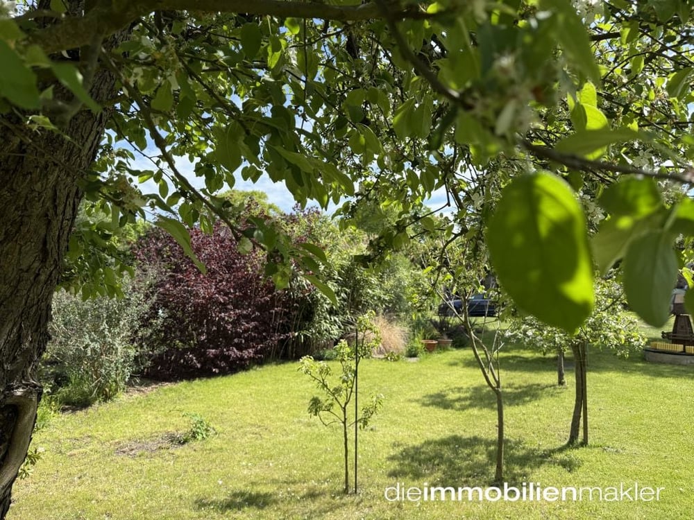 toller Garten
