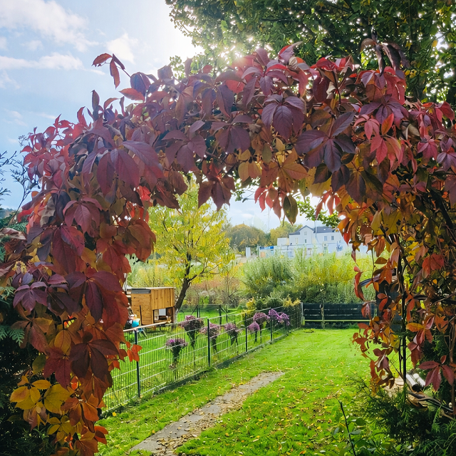 Gartenansicht