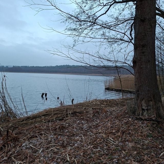 Hanglage trifft Wasserblick