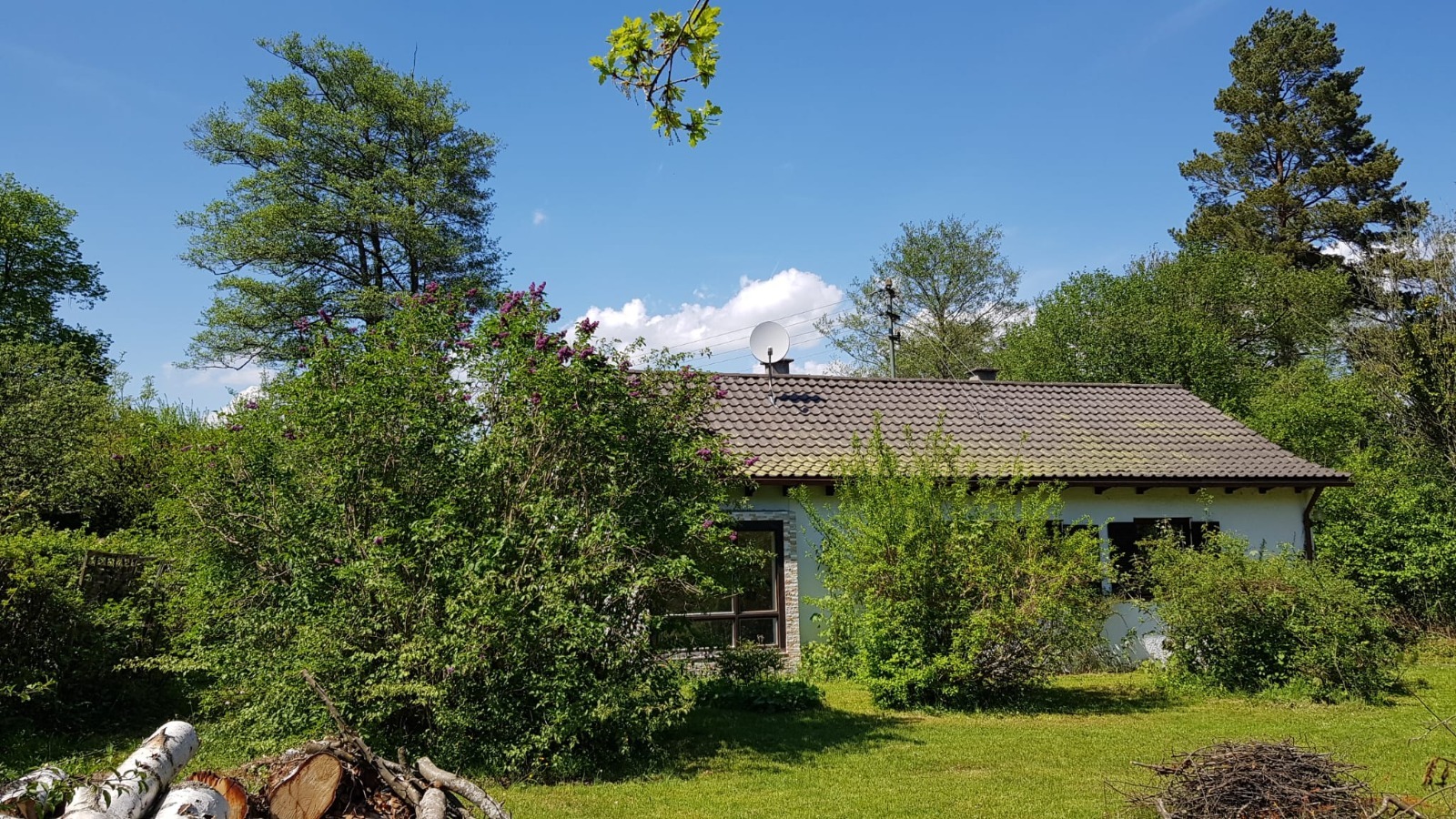 Traumhaftes Grundstück für EFH/DHH in grüner Umgebung m. Altbestand in Riederau - Dießen am Ammersee