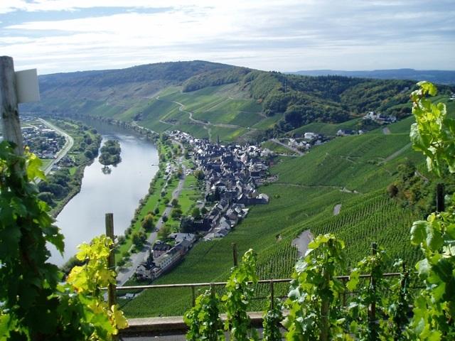 Ürzig a.d. Mittelmosel - kleines Haus -ganz groß und mit Moselblick- wartet auf seine "Erweckung"