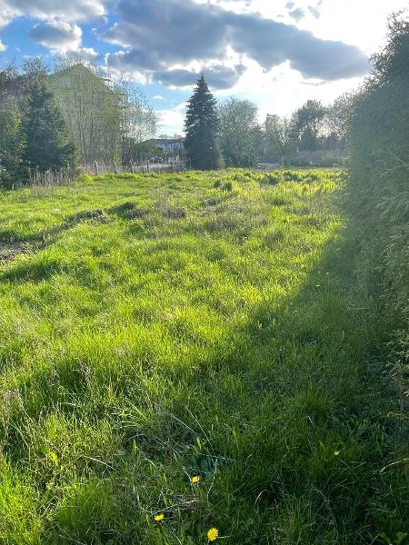 Großes Baugrundstück in Bestensee - Ob Eigennutzung oder Investition - Sie entscheiden!