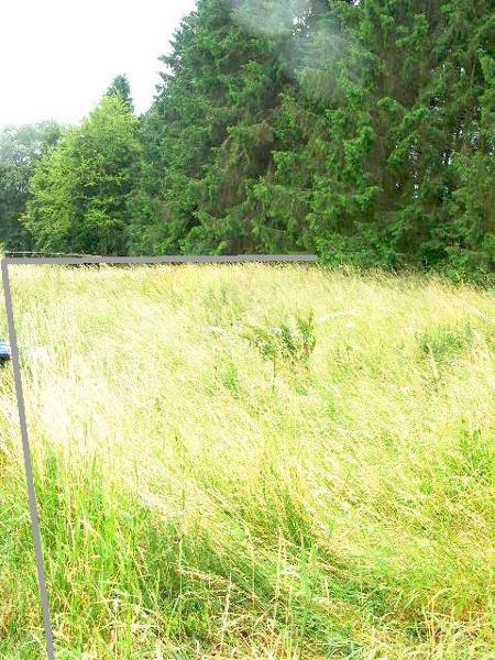 Lissendorf Baugrundstück Ecklage Erschlossen gerader Schnitt