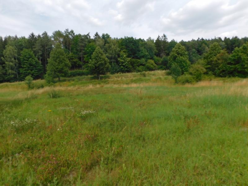 Rittersdorf-Südeifel,nähe Bitburg- vollerschlossenes Baugrundstück