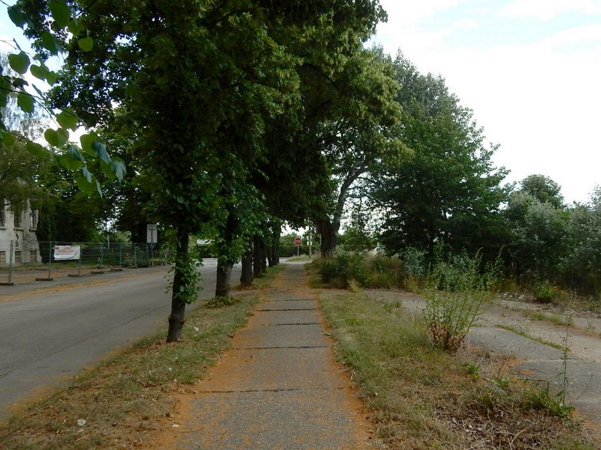 Gewerbegrundstück in verkehrsgünstiger Lage von Schönebeck (Elbe) (private Ratenzahlung möglich)