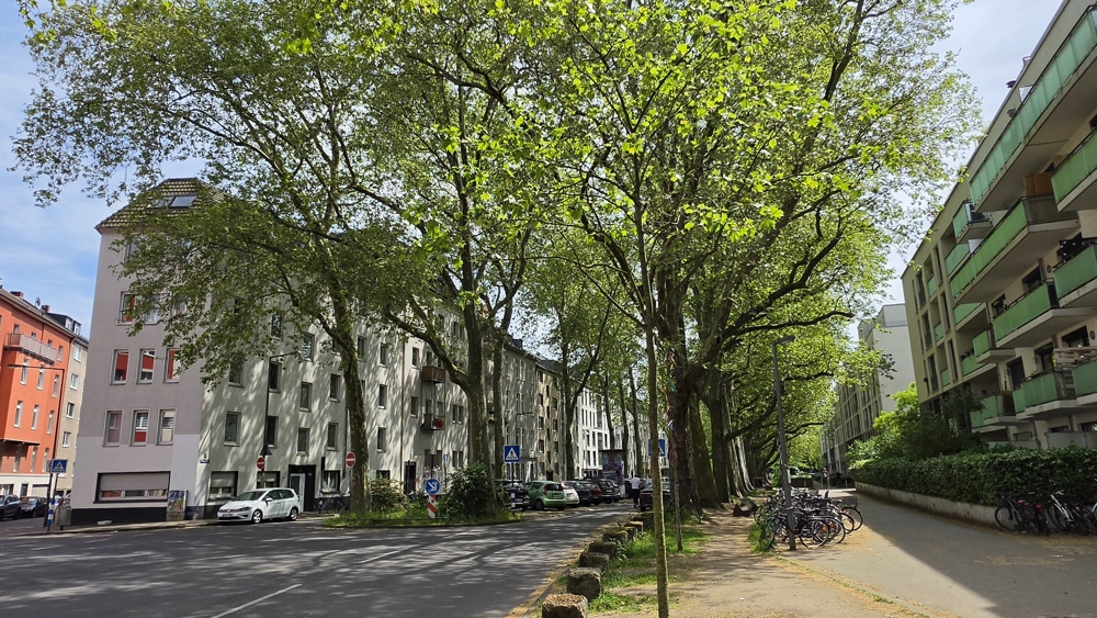 Ruhig zwischen Uni, Barbarossaplatz und Volksgarten - leerstehend mit STELLPLATZ (A384ms)