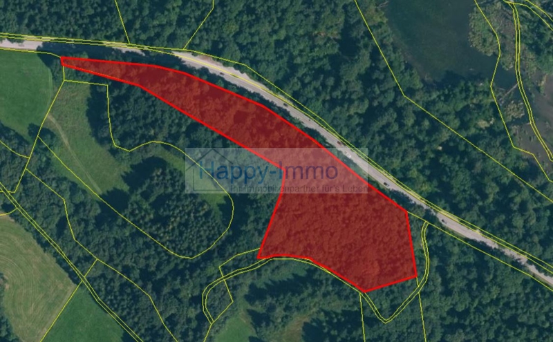 14.584 m² Mischwald in Frasdorf