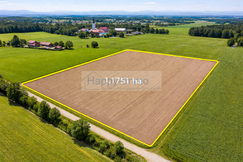 landwirtschafte Fläche 1,1751 ha zu verkaufen
